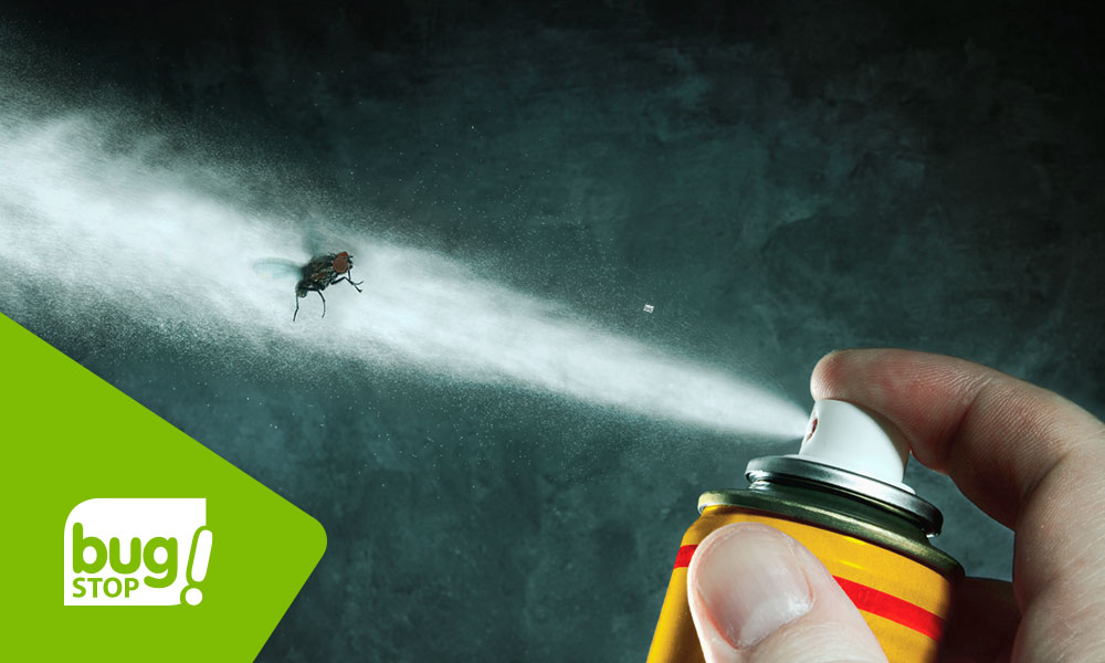 Los efectos dañinos del insecticida y cuál es su opción saludable y sostenible.